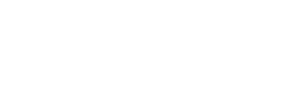 LST Services LTD Logo with text