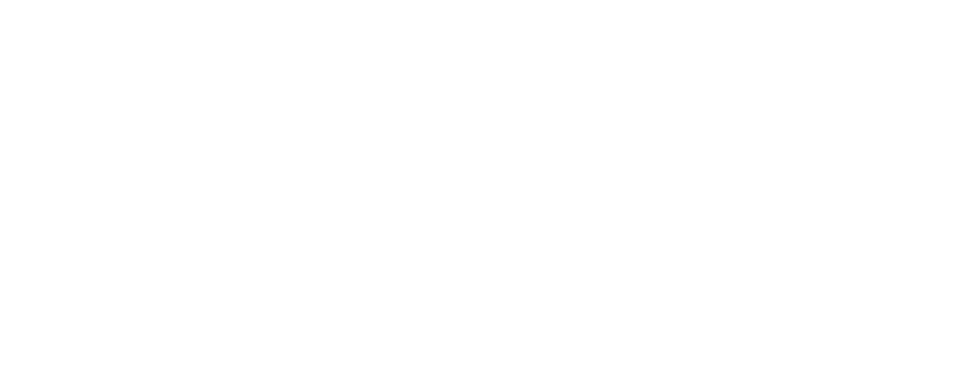 LST Services LTD Logo with text